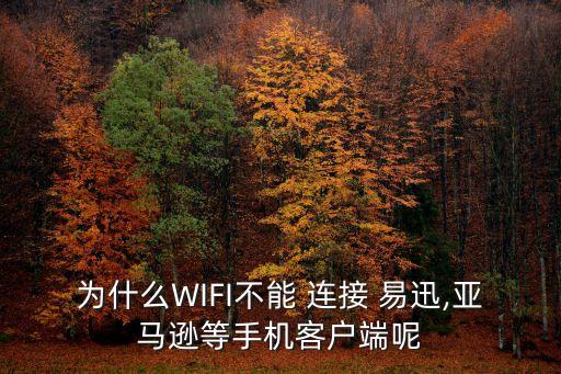 易迅連接后自動(dòng)斷開,怎么恢復(fù)網(wǎng)絡(luò)服務(wù)?