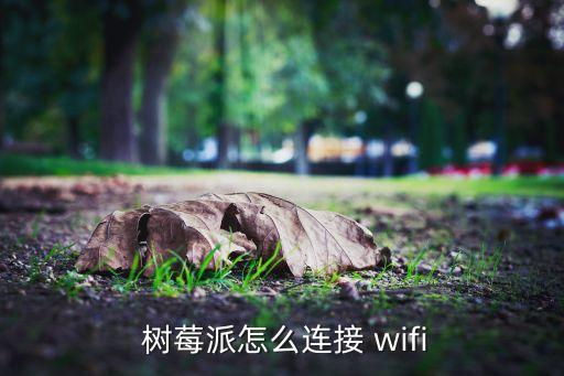 樹莓派自動(dòng)wifi,怎么連接到樹莓?