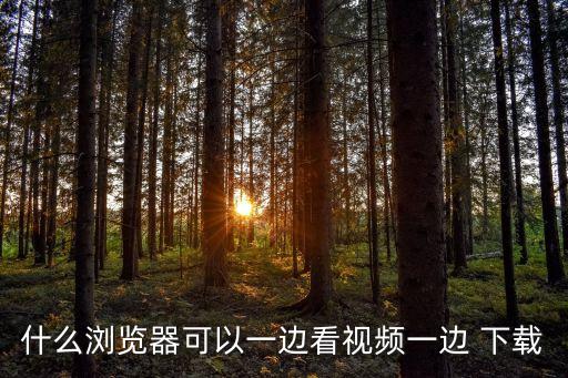 什么瀏覽器可以一邊看視頻一邊 下載
