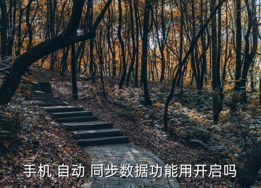 安卓4 同步自動打開嗎,手機應(yīng)用如何取消自動同步data?