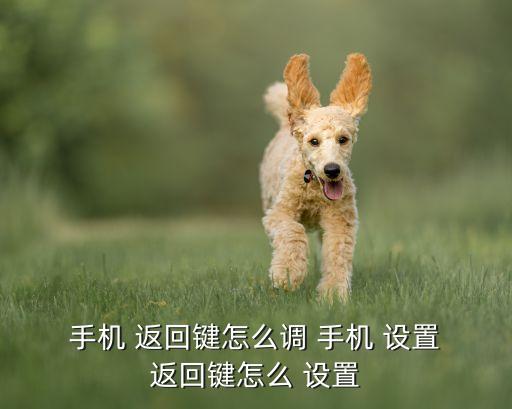 手機(jī) 返回鍵怎么調(diào) 手機(jī) 設(shè)置 返回鍵怎么 設(shè)置