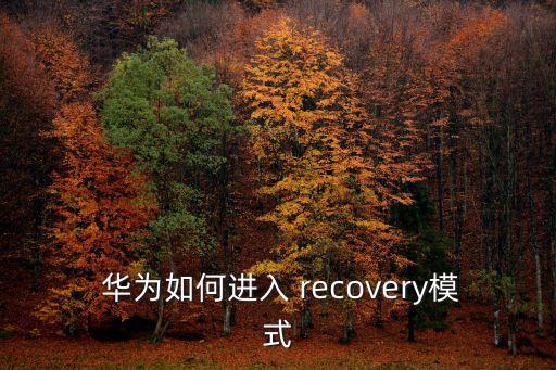  華為如何進入 recovery模式