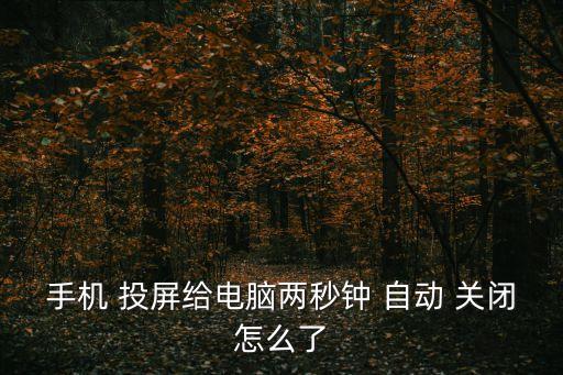 手機(jī) 投屏給電腦兩秒鐘 自動 關(guān)閉怎么了