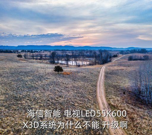  海信智能 電視LED55K600X3D系統(tǒng)為什么不能 升級啊