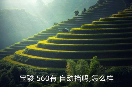 寶駿560有自動檔嗎,上汽五菱全新車型命名為寶駿560