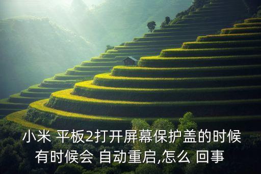  小米 平板2打開屏幕保護蓋的時候有時候會 自動重啟,怎么 回事