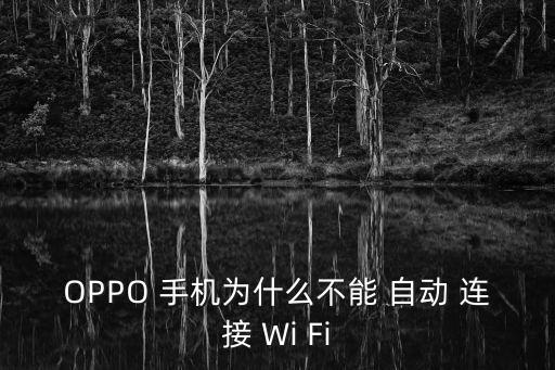 手機(jī)不會(huì)自動(dòng)連接Wi-Fi