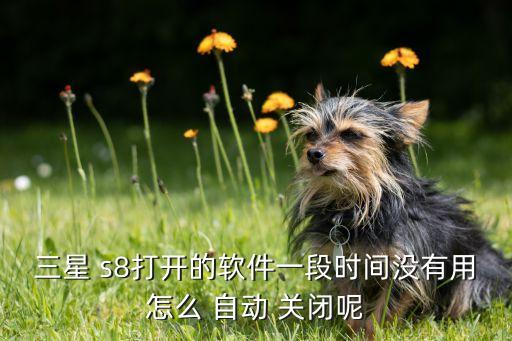 三星 s8打開的軟件一段時(shí)間沒有用怎么 自動(dòng) 關(guān)閉呢