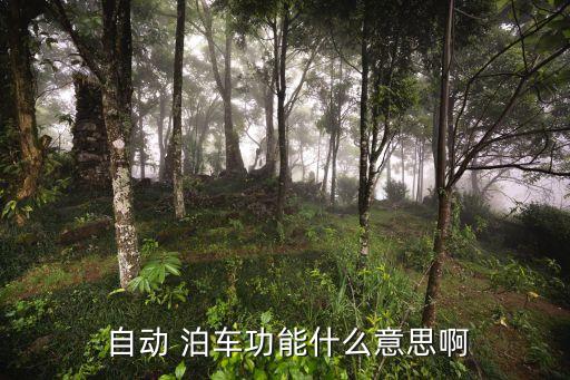 自動(dòng)泊車 撞,汽車廠商研發(fā)自動(dòng)泊車汽車意識(shí)到消費(fèi)者需求