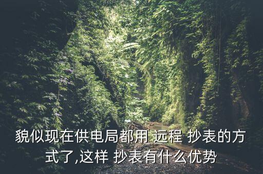 電力系統(tǒng)遠程自動抄表系統(tǒng)設(shè)計,遠程抄表優(yōu)點多:不會誤抄
