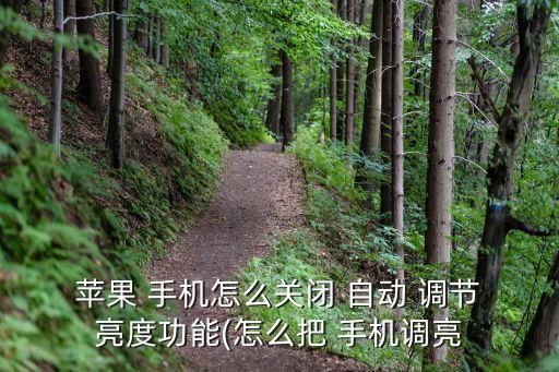 蘋果手機不自動調(diào)亮度調(diào)節(jié),蘋果手機如何關(guān)閉自動調(diào)節(jié)亮度?