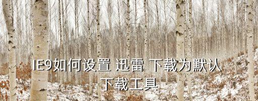 IE9如何設(shè)置 迅雷 下載為默認(rèn) 下載工具
