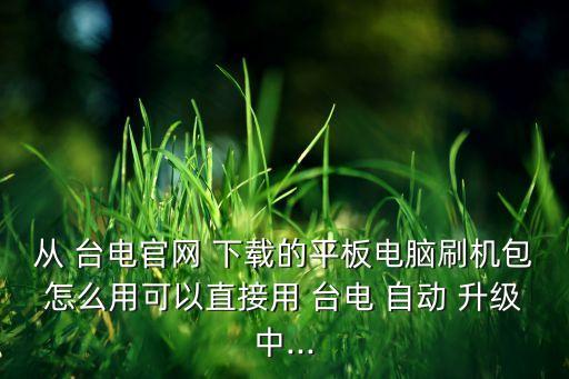 從 臺電官網(wǎng) 下載的平板電腦刷機包怎么用可以直接用 臺電 自動 升級中...