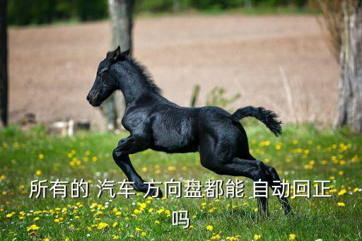 所有的 汽車 方向盤都能 自動回正嗎