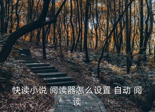 快讀小說 閱讀器怎么設(shè)置 自動 閱讀