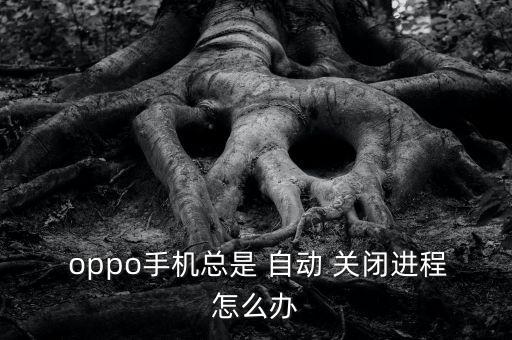 oppo程序不要自動關(guān)閉,手機(jī)自動下載程序如何取消?