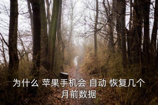 蘋(píng)果 照片自動(dòng)恢復(fù),手機(jī)丟失照片怎么辦?這些東西要知道!