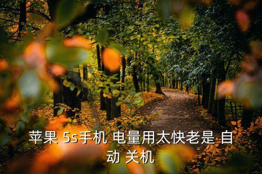 5s剩余電量自動關機,手機充電時間過長電池容量下降四大原因