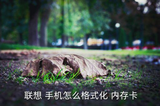  聯(lián)想 手機(jī)怎么格式化 內(nèi)存卡