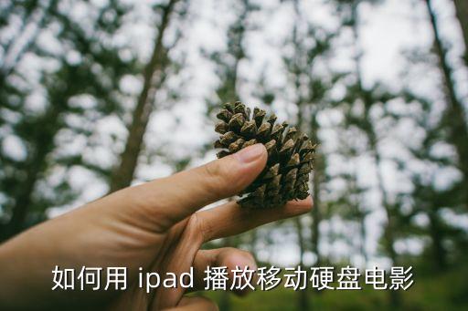 如何用 ipad 播放移動硬盤電影