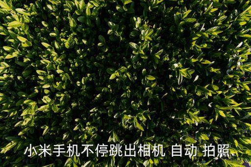 小米自動(dòng)拍照,小米10如何調(diào)整焦距?