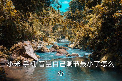 小米 手機(jī) 音量自己調(diào)節(jié)最小了怎么辦