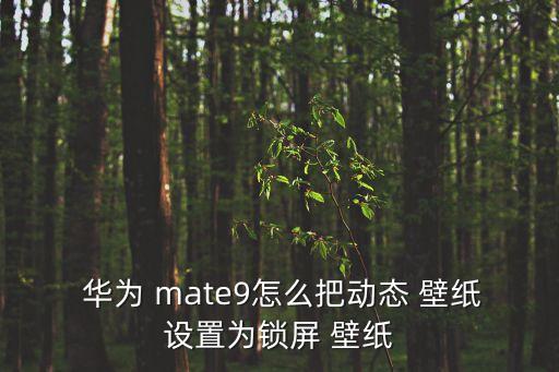 華為 mate9怎么把動(dòng)態(tài) 壁紙?jiān)O(shè)置為鎖屏 壁紙