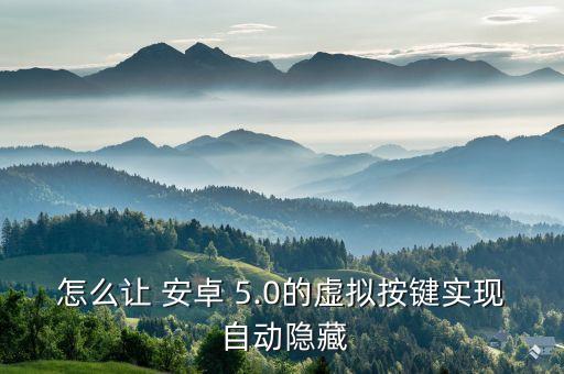 怎么讓 安卓 5.0的虛擬按鍵實(shí)現(xiàn) 自動(dòng)隱藏