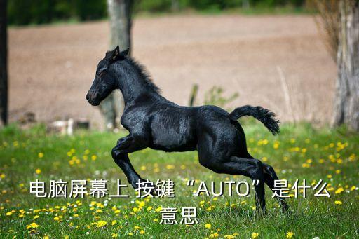 電腦屏幕上 按鍵“AUTO”是什么意思
