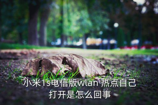  小米1s電信版wlan 熱點(diǎn)自己 打開(kāi)是怎么回事