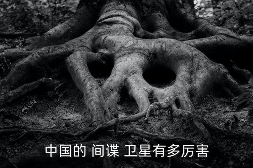間諜衛(wèi)星擁有自動(dòng)報(bào)警系統(tǒng)嗎,中國(guó)諜諜衛(wèi)星或由軍用改為民用