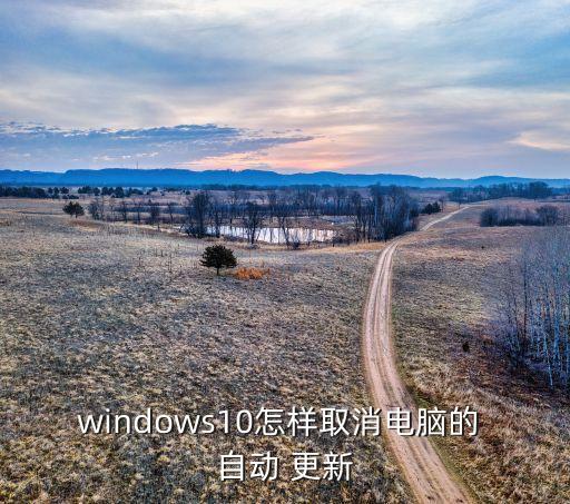windows10怎樣取消電腦的 自動(dòng) 更新
