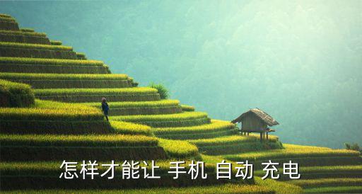 怎樣才能讓 手機(jī) 自動 充電