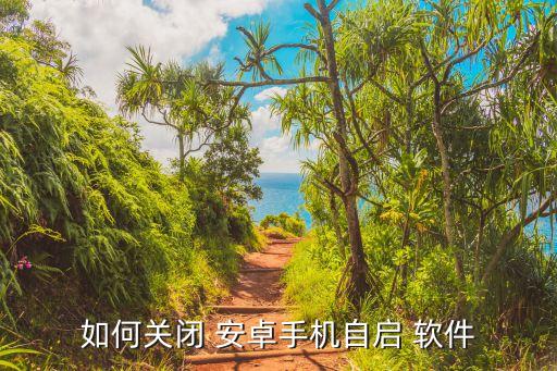 如何關(guān)閉 安卓手機(jī)自啟 軟件