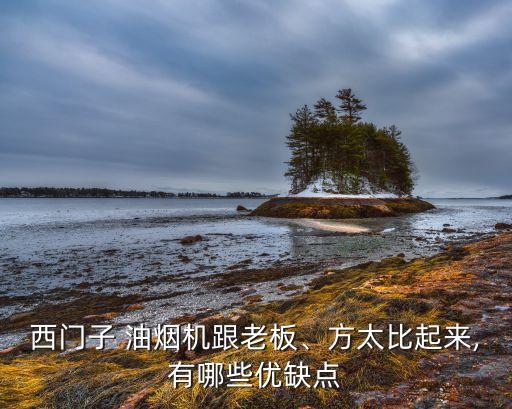 西門子 油煙機(jī)跟老板、方太比起來,有哪些優(yōu)缺點(diǎn)