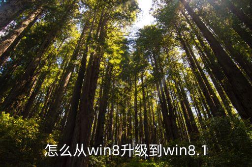 w8怎么關(guān)閉自動(dòng)更新
