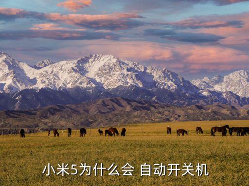 小米5屏幕不會(huì)自動(dòng)關(guān)閉,手機(jī)屏幕系統(tǒng)故障小米5自動(dòng)調(diào)節(jié)亮度