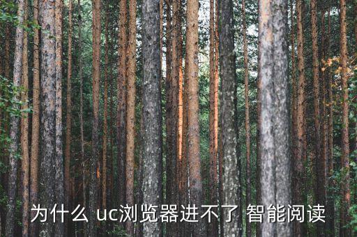 為什么 uc瀏覽器進不了 智能閱讀