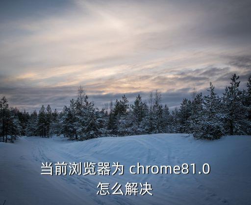 chrome 自動(dòng)填表 下拉選擇,514個(gè)免費(fèi)電子詞典