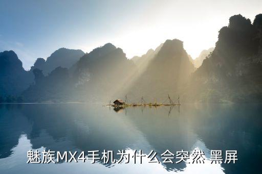  魅族MX4手機為什么會突然 黑屏
