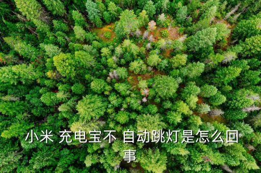  小米 充電寶不 自動(dòng)跳燈是怎么回事