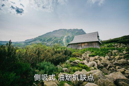 自動(dòng)抽油煙機(jī)的缺點(diǎn),后吸式油煙機(jī)優(yōu)點(diǎn):不用廚房也能做飯
