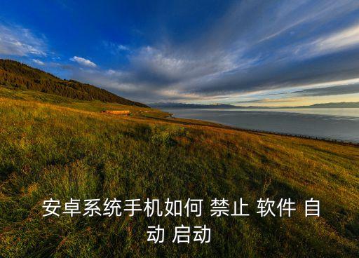  安卓系統(tǒng)手機(jī)如何 禁止 軟件 自動(dòng) 啟動(dòng)