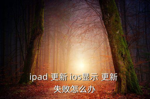 ipad 更新 ios顯示 更新 失敗怎么辦