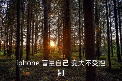 pro5音量自動(dòng)變大,蘋果手機(jī)音量無(wú)法調(diào)整已自動(dòng)調(diào)整到最大