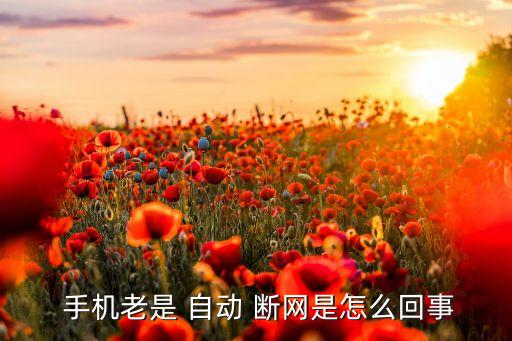  手機老是 自動 斷網是怎么回事