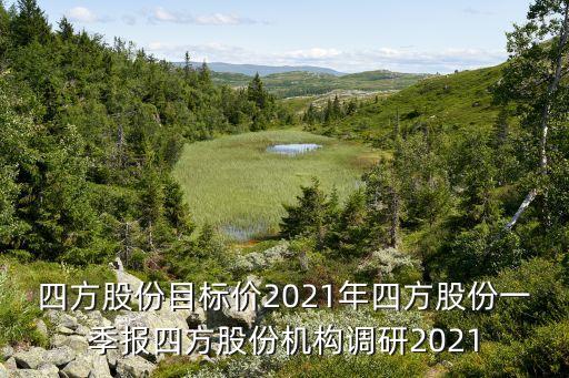 自動化運維 份額,電氣自動化設備行業(yè)優(yōu)質企業(yè)四方股份將介紹