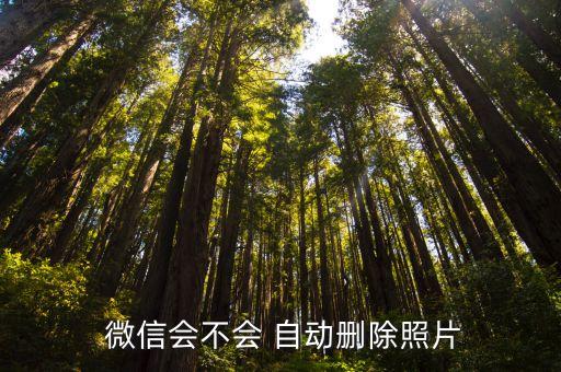 微信會(huì)自動(dòng)清理圖片,微信圖片為何自動(dòng)清理?原來是這樣