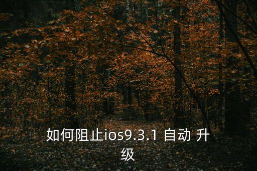 ios10.1.1自動(dòng)升級(jí)去掉,這些ios10怎么玩?