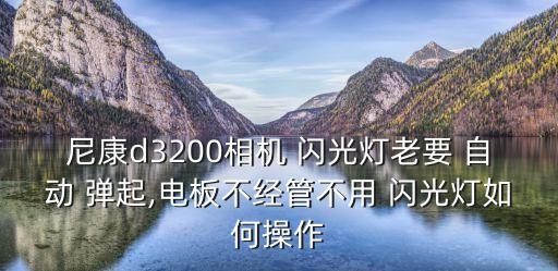 自動(dòng)閃光燈彈起,拍攝環(huán)境光線不足時(shí)閃光燈會(huì)自動(dòng)亮起